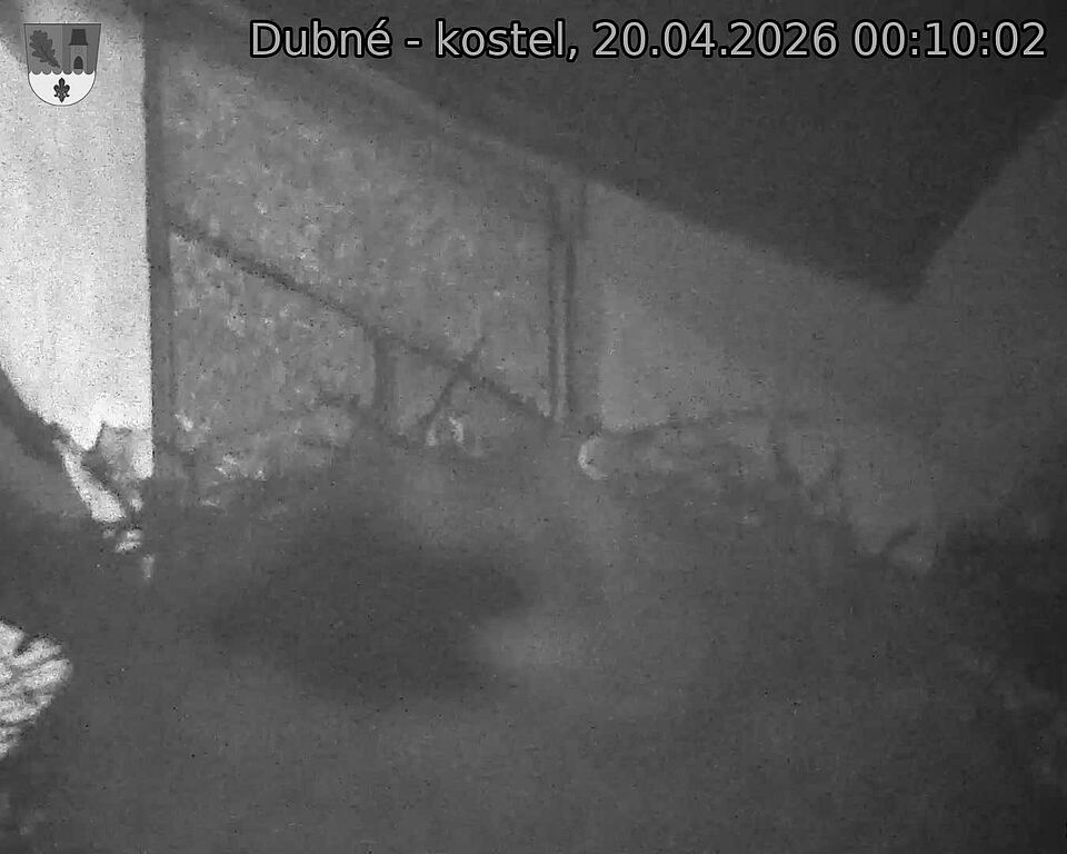 Capi_Dubne_20260420_001002.jpg (1350&nbsp;x&nbsp;1080)