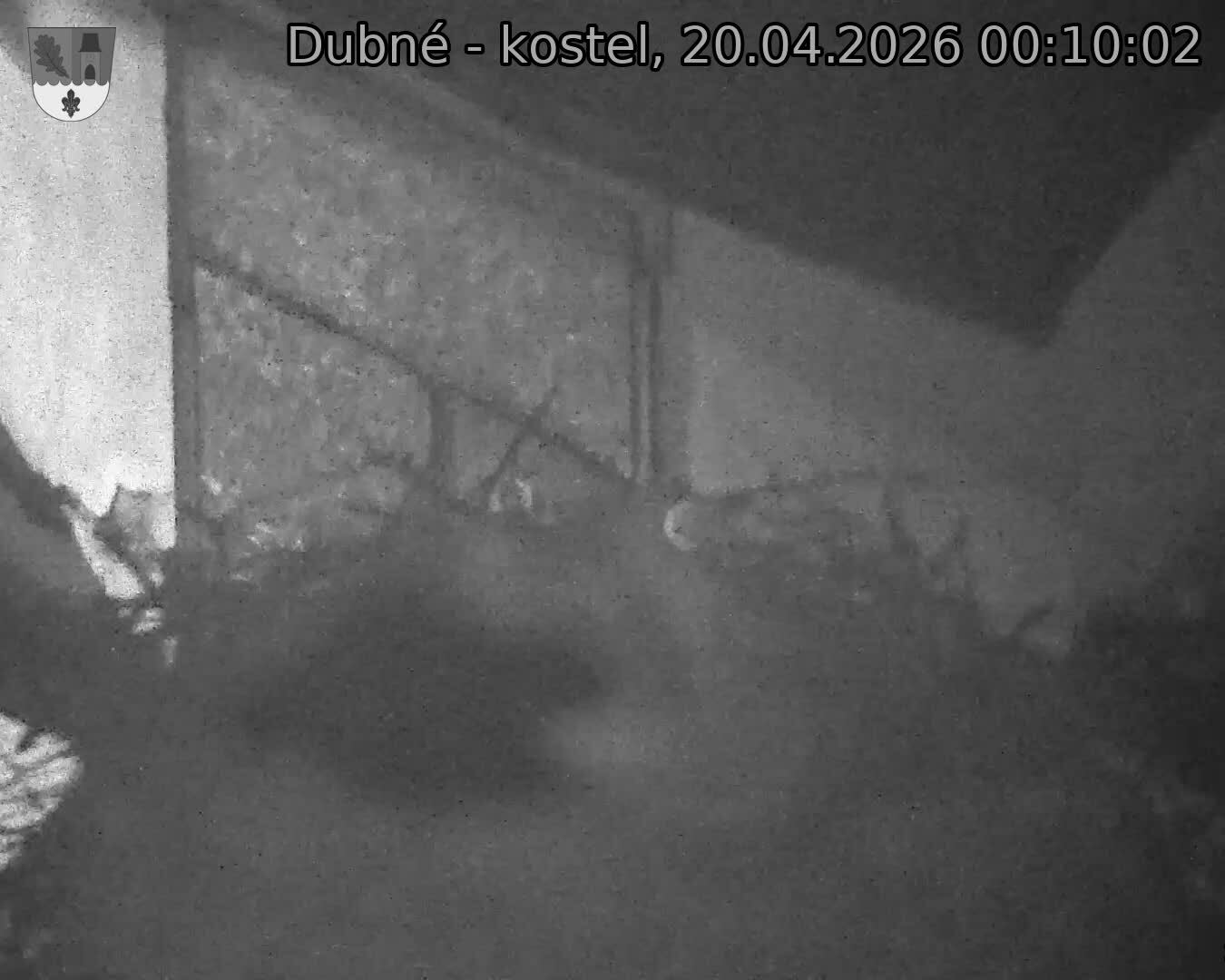 Capi_Dubne_20260420_001002.jpg (1350&nbsp;x&nbsp;1080)
