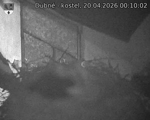 Capi_Dubne_20260420_001002.jpg (1350&nbsp;x&nbsp;1080)