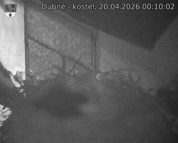 Capi_Dubne_20260420_001002.jpg (1350&nbsp;x&nbsp;1080)