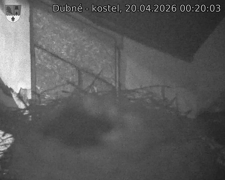 Capi_Dubne_20260420_002003.jpg (1350&nbsp;x&nbsp;1080)