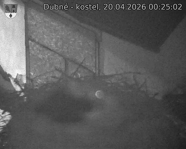 Capi_Dubne_20260420_002502.jpg (1350&nbsp;x&nbsp;1080)