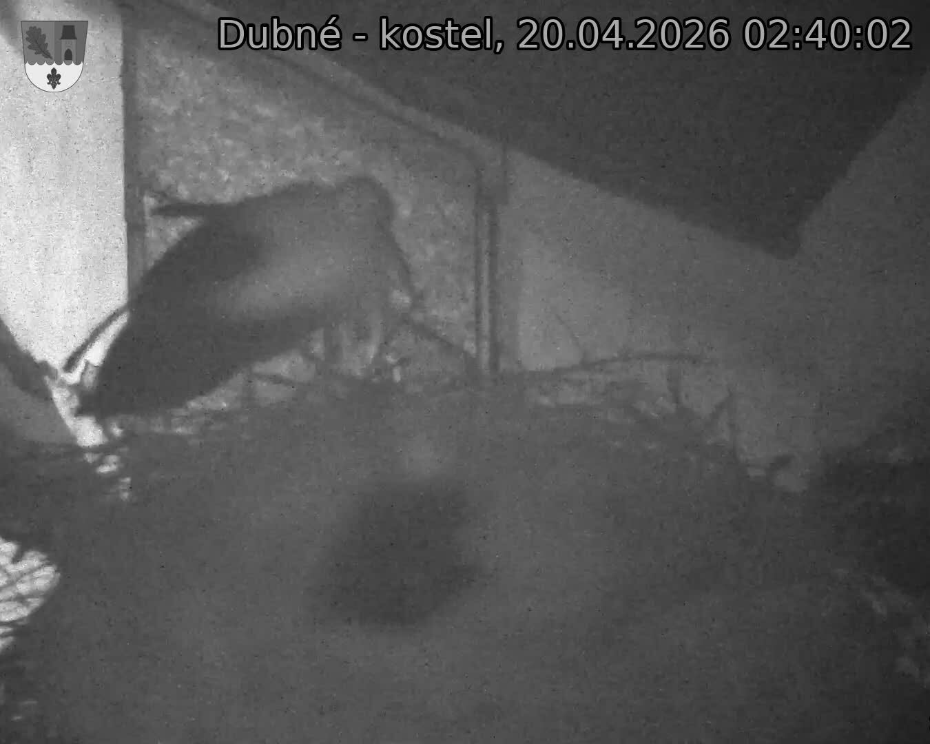 Capi_Dubne_20260420_024002.jpg (1350&nbsp;x&nbsp;1080)