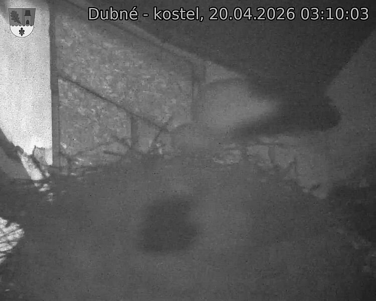 Capi_Dubne_20260420_031003.jpg (1350&nbsp;x&nbsp;1080)
