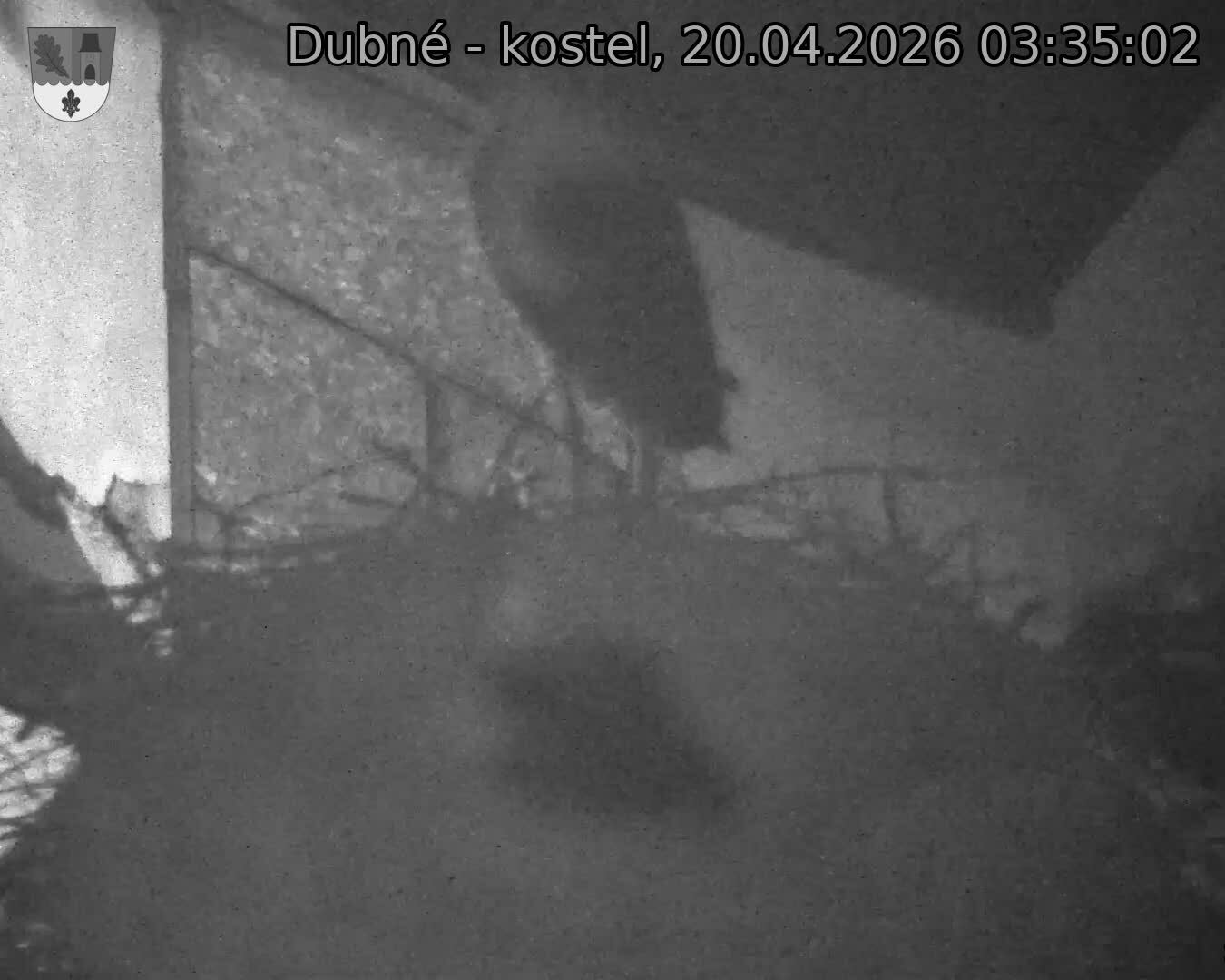 Capi_Dubne_20260420_033502.jpg (1350&nbsp;x&nbsp;1080)