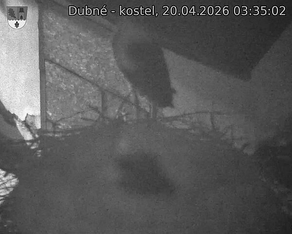 Capi_Dubne_20260420_033502.jpg (1350&nbsp;x&nbsp;1080)