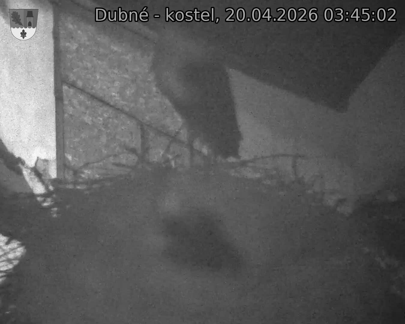 Capi_Dubne_20260420_034502.jpg (1350&nbsp;x&nbsp;1080)