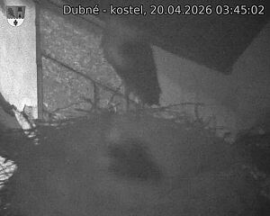 Capi_Dubne_20260420_034502.jpg (1350&nbsp;x&nbsp;1080)