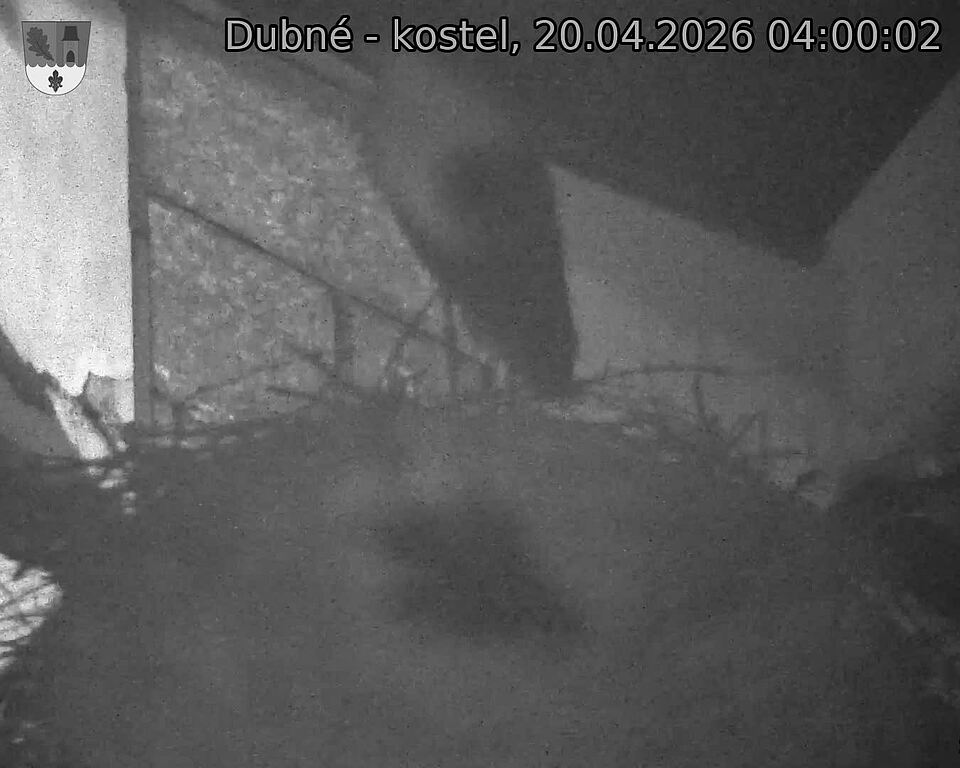 Capi_Dubne_20260420_040002.jpg (1350&nbsp;x&nbsp;1080)