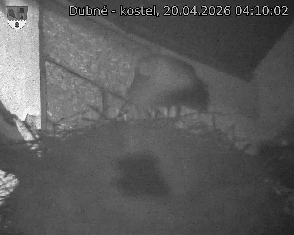 Capi_Dubne_20260420_041002.jpg (1350&nbsp;x&nbsp;1080)