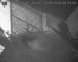 Capi_Dubne_20260420_045502.jpg (1350&nbsp;x&nbsp;1080)