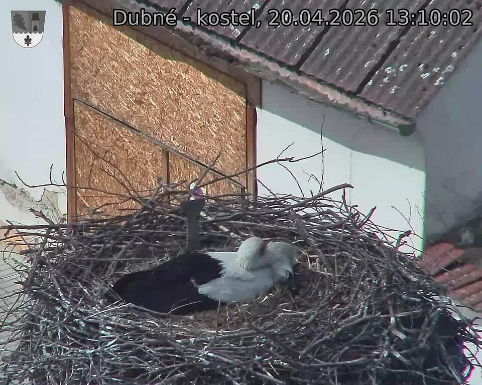 Capi_Dubne_20260420_131002.jpg (1350&nbsp;x&nbsp;1080)