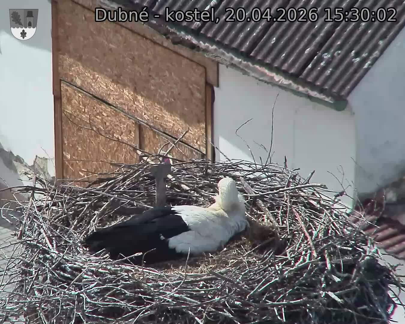 Capi_Dubne_20260420_153002.jpg (1350&nbsp;x&nbsp;1080)