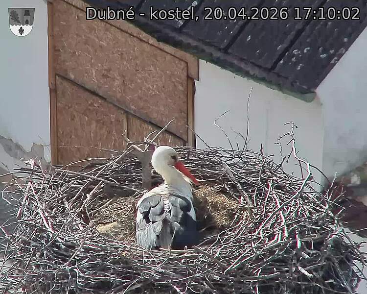 Capi_Dubne_20260420_171002.jpg (1350&nbsp;x&nbsp;1080)