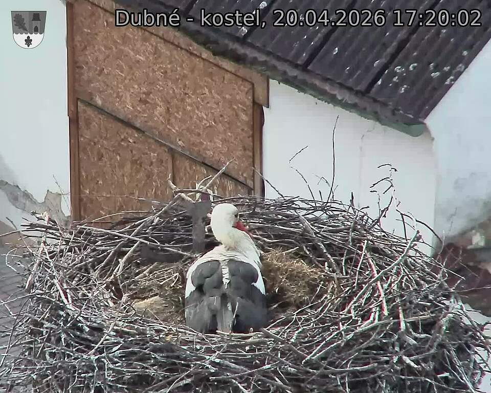 Capi_Dubne_20260420_172002.jpg (1350&nbsp;x&nbsp;1080)