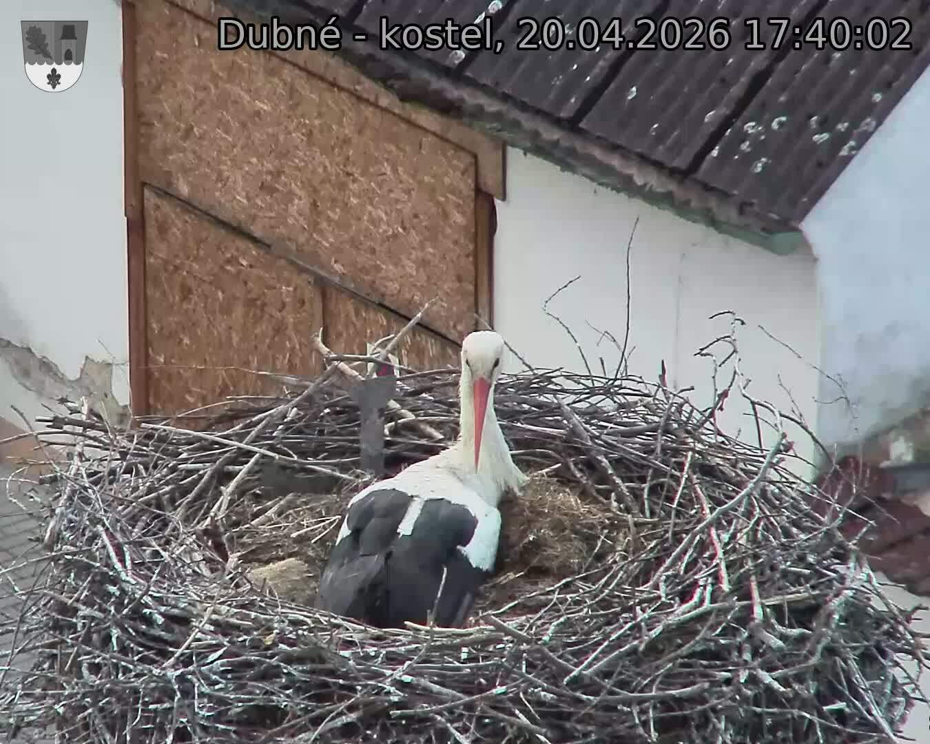 Capi_Dubne_20260420_174002.jpg (1350&nbsp;x&nbsp;1080)