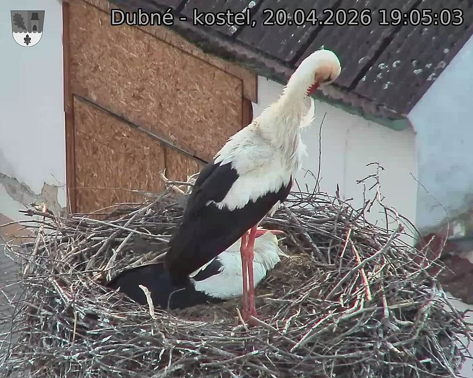 Capi_Dubne_20260420_190503.jpg (1350&nbsp;x&nbsp;1080)