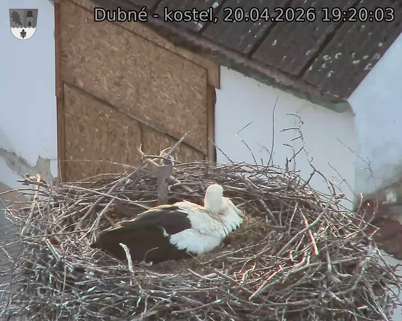 Capi_Dubne_20260420_192003.jpg (1350&nbsp;x&nbsp;1080)