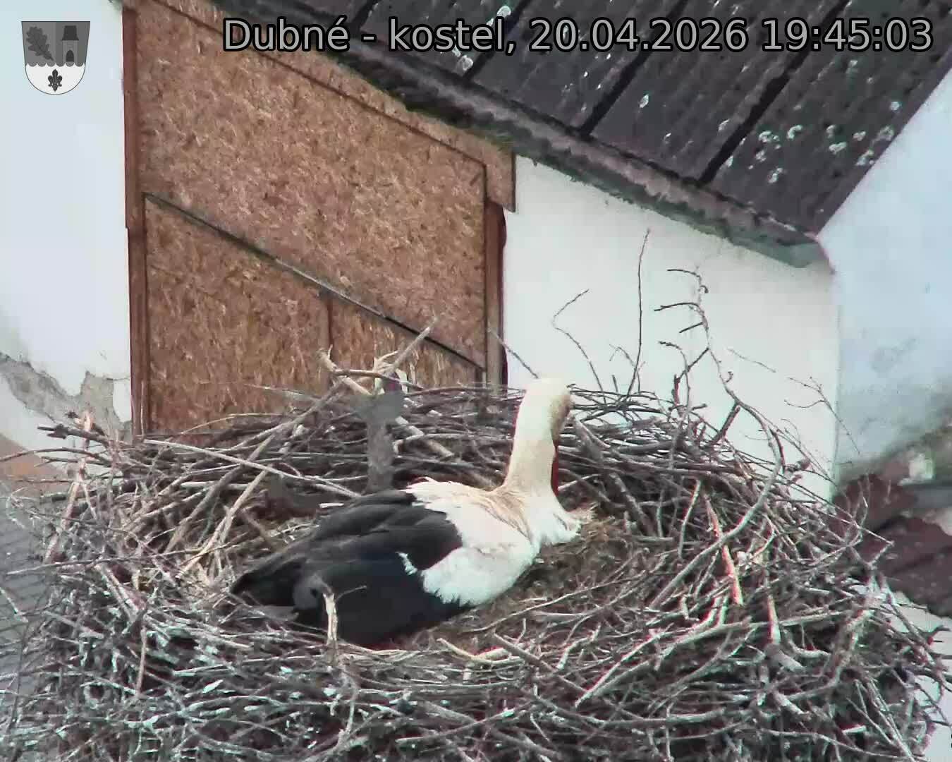 Capi_Dubne_20260420_194503.jpg (1350&nbsp;x&nbsp;1080)