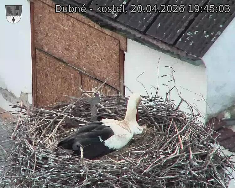 Capi_Dubne_20260420_194503.jpg (1350&nbsp;x&nbsp;1080)