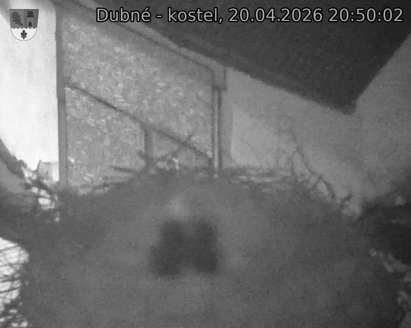Capi_Dubne_20260420_205002.jpg (1350&nbsp;x&nbsp;1080)