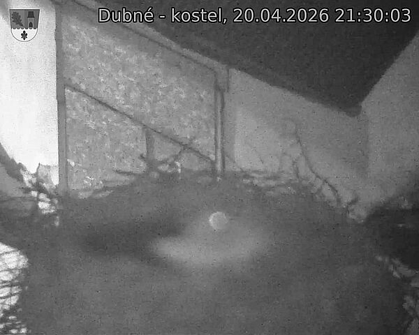 Capi_Dubne_20260420_213003.jpg (1350&nbsp;x&nbsp;1080)