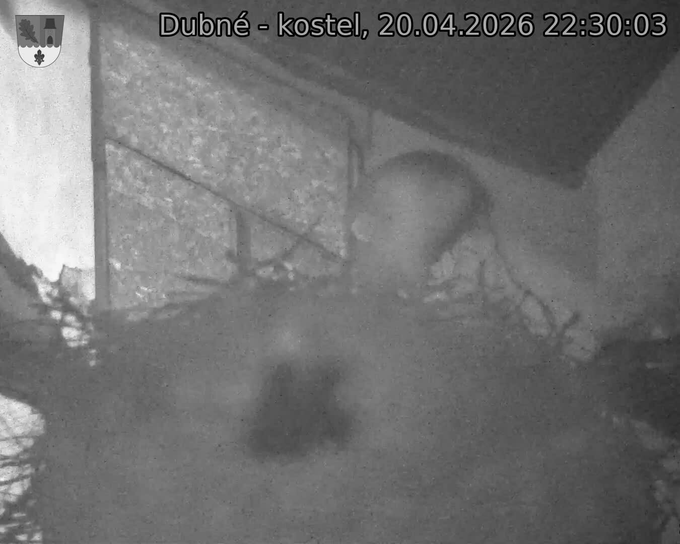 Capi_Dubne_20260420_223003.jpg (1350&nbsp;x&nbsp;1080)