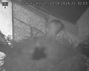 Capi_Dubne_20260420_223003.jpg (1350&nbsp;x&nbsp;1080)