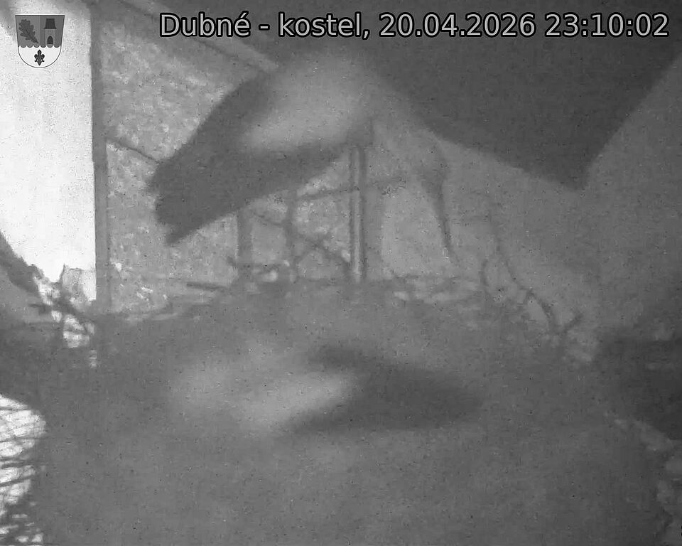 Capi_Dubne_20260420_231002.jpg (1350&nbsp;x&nbsp;1080)