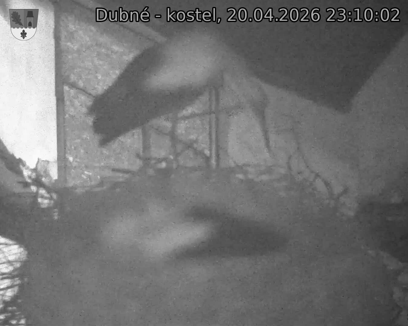 Capi_Dubne_20260420_231002.jpg (1350&nbsp;x&nbsp;1080)