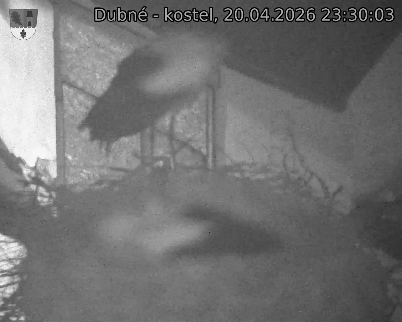 Capi_Dubne_20260420_233003.jpg (1350&nbsp;x&nbsp;1080)