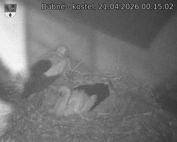 Capi_Dubne_20260421_001502.jpg (1350&nbsp;x&nbsp;1080)
