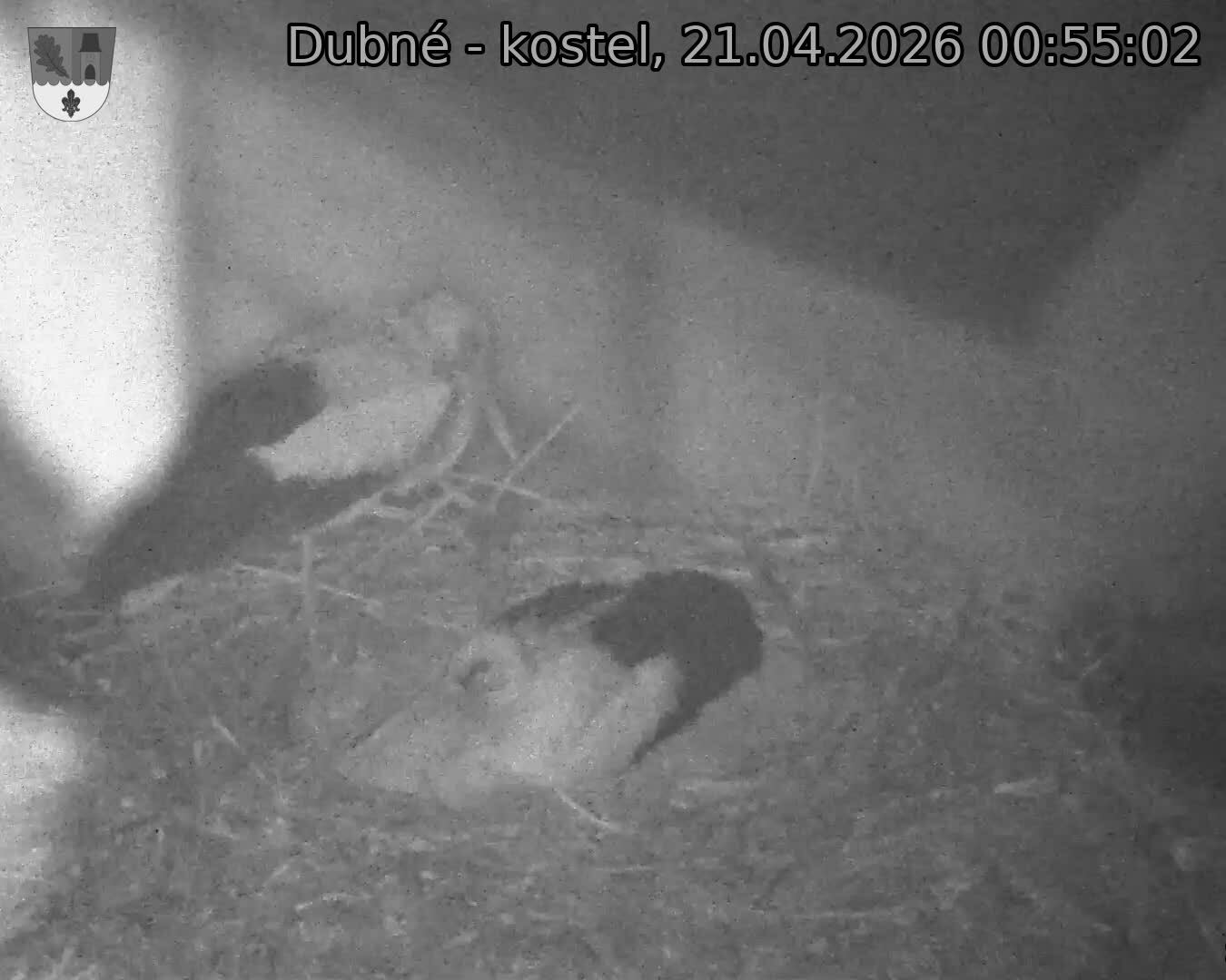 Capi_Dubne_20260421_005502.jpg (1350&nbsp;x&nbsp;1080)