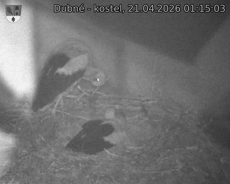 Capi_Dubne_20260421_011503.jpg (1350&nbsp;x&nbsp;1080)
