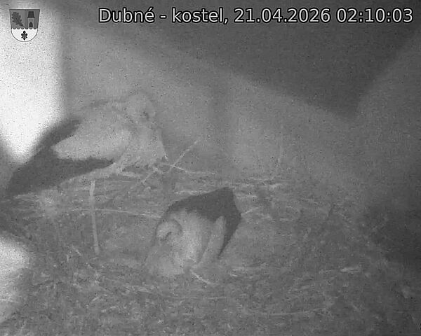 Capi_Dubne_20260421_021003.jpg (1350&nbsp;x&nbsp;1080)