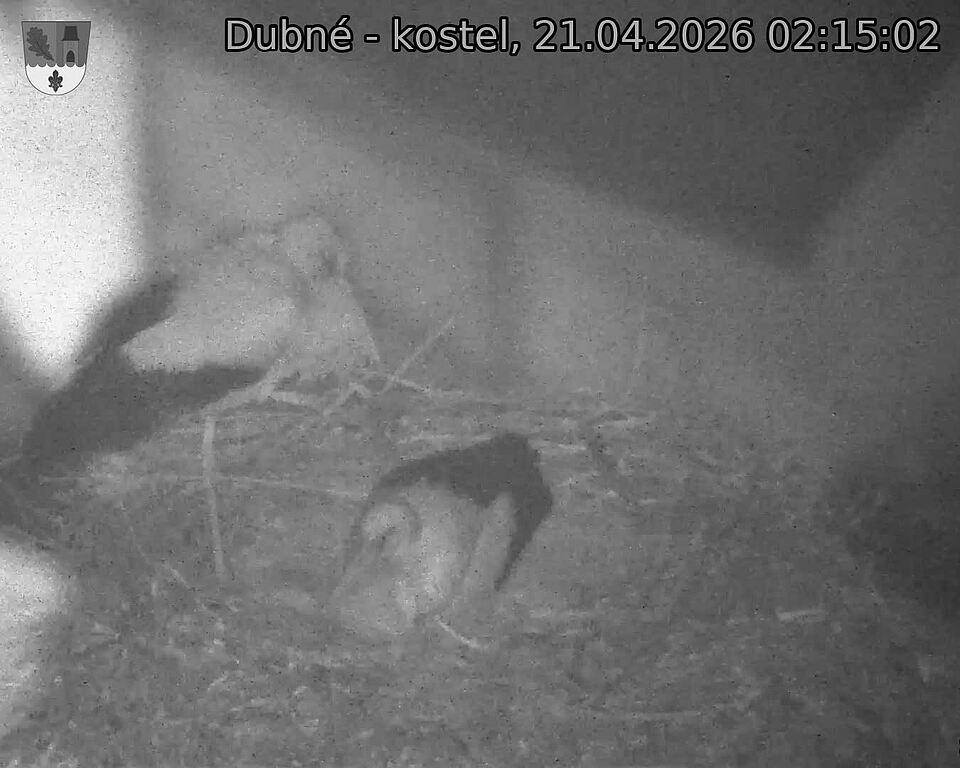 Capi_Dubne_20260421_021502.jpg (1350&nbsp;x&nbsp;1080)