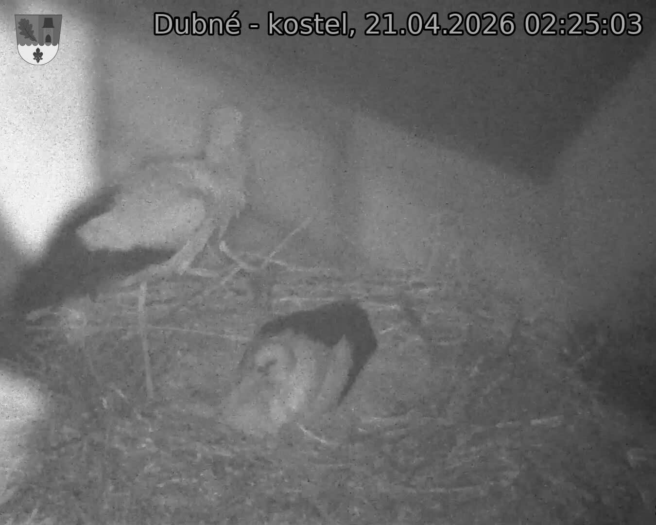 Capi_Dubne_20260421_022503.jpg (1350&nbsp;x&nbsp;1080)