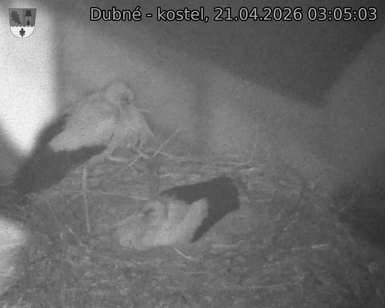 Capi_Dubne_20260421_030503.jpg (1350&nbsp;x&nbsp;1080)