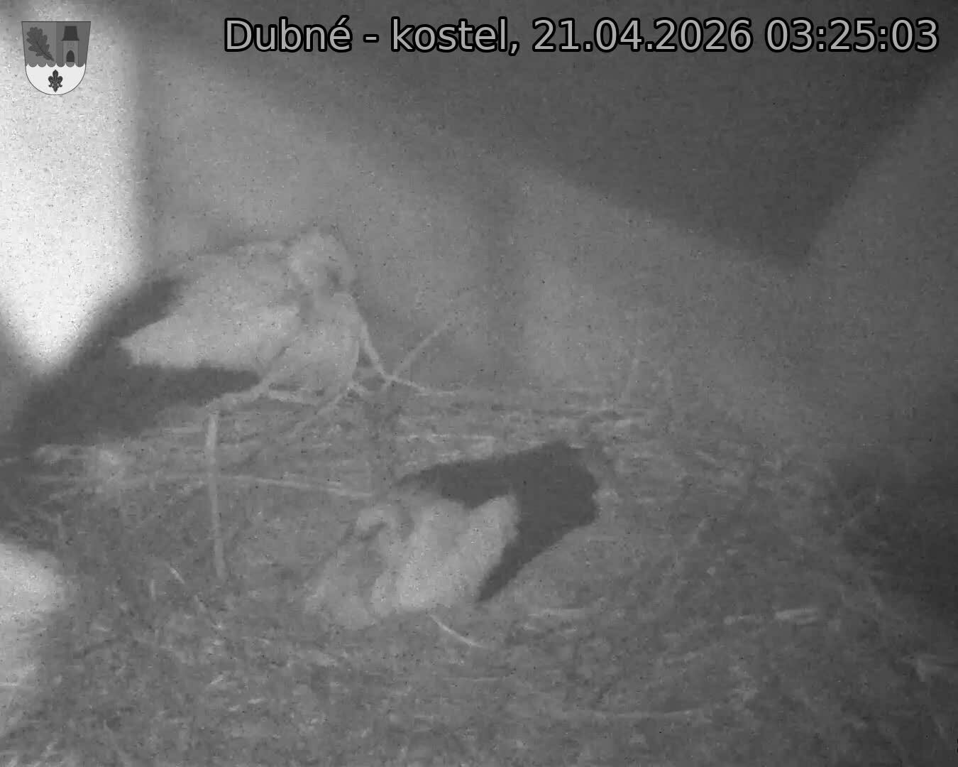 Capi_Dubne_20260421_032503.jpg (1350&nbsp;x&nbsp;1080)