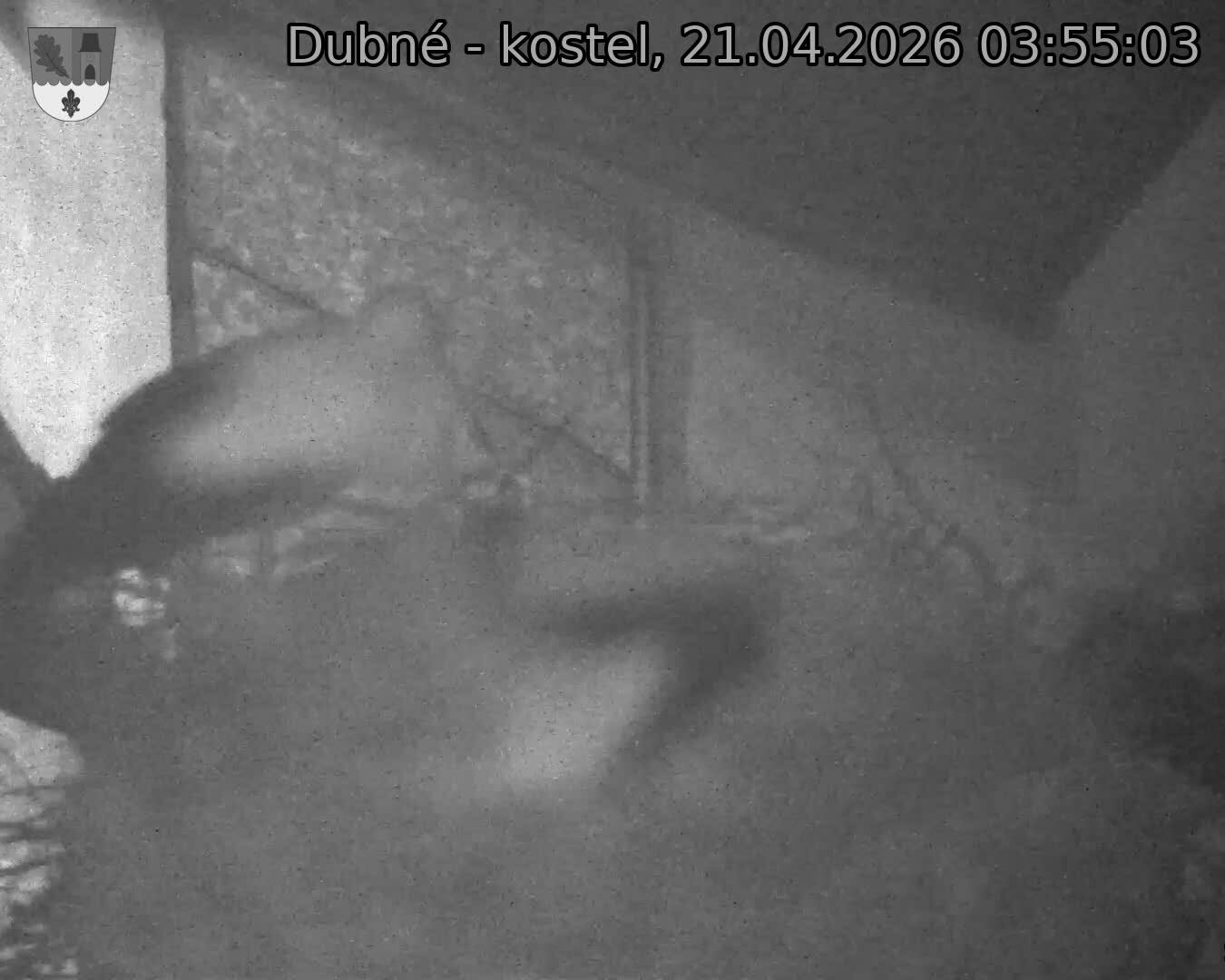 Capi_Dubne_20260421_035503.jpg (1350&nbsp;x&nbsp;1080)