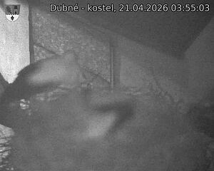 Capi_Dubne_20260421_035503.jpg (1350&nbsp;x&nbsp;1080)