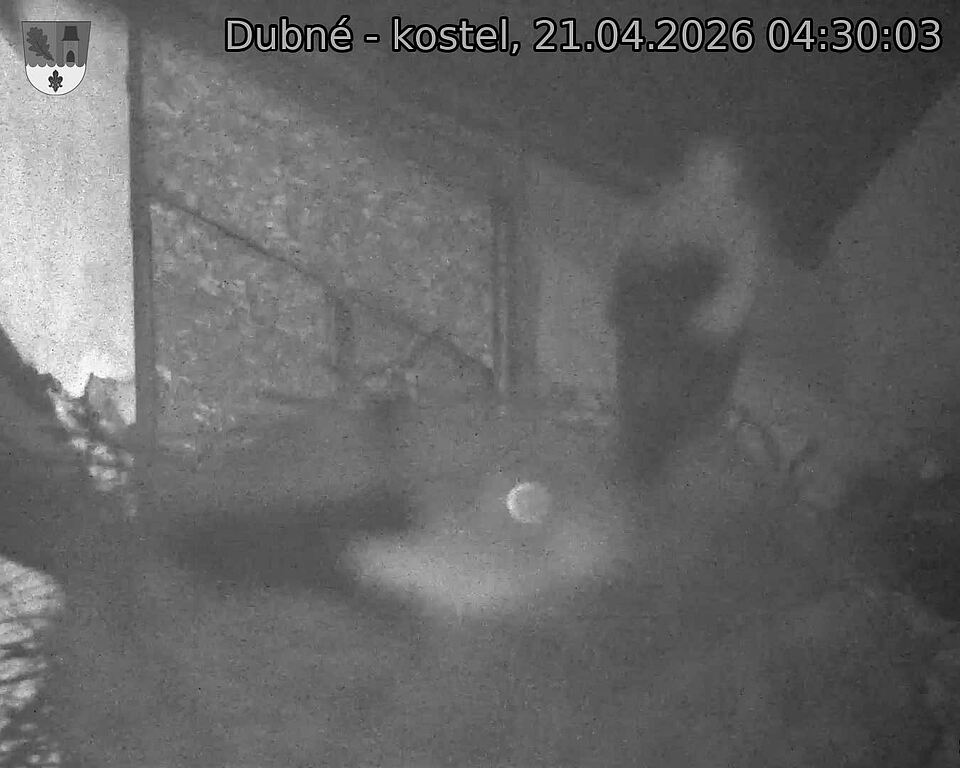 Capi_Dubne_20260421_043003.jpg (1350&nbsp;x&nbsp;1080)