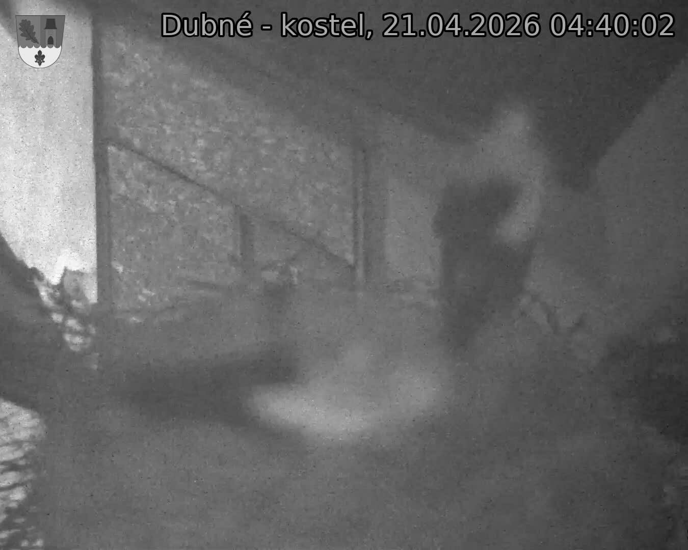 Capi_Dubne_20260421_044003.jpg (1350&nbsp;x&nbsp;1080)