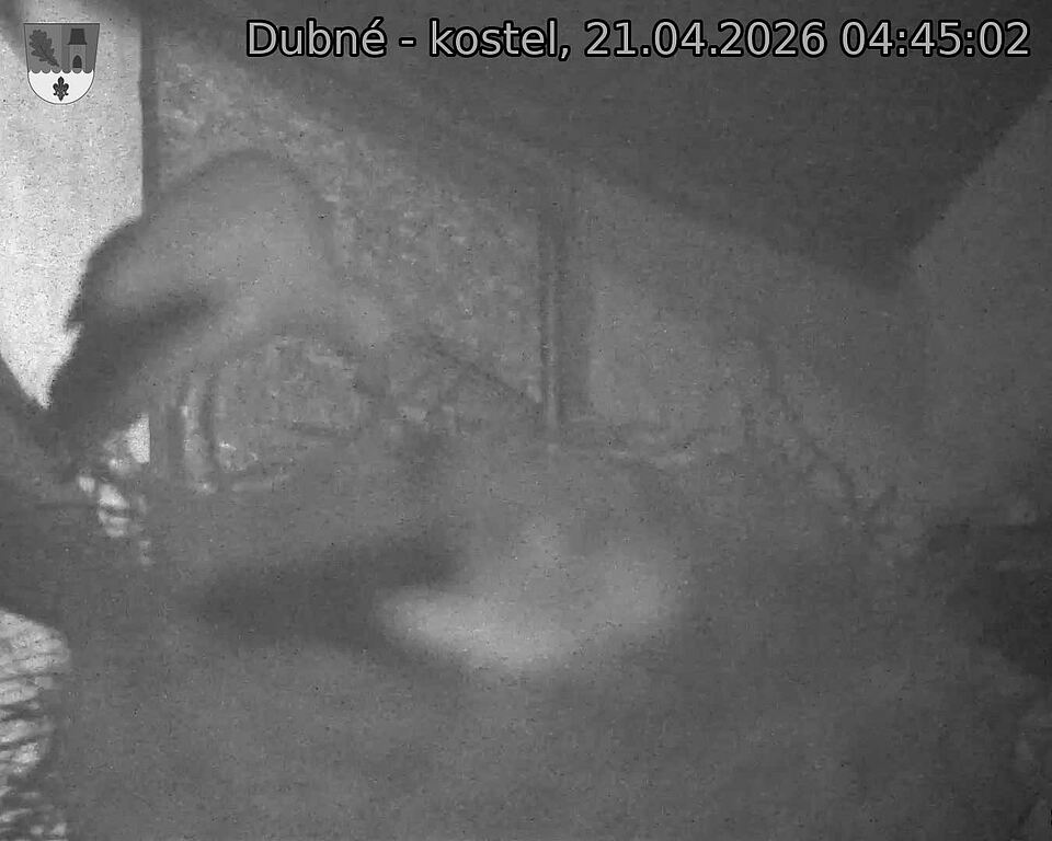 Capi_Dubne_20260421_044502.jpg (1350&nbsp;x&nbsp;1080)