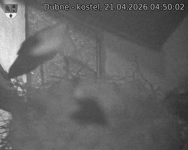 Capi_Dubne_20260421_045002.jpg (1350&nbsp;x&nbsp;1080)