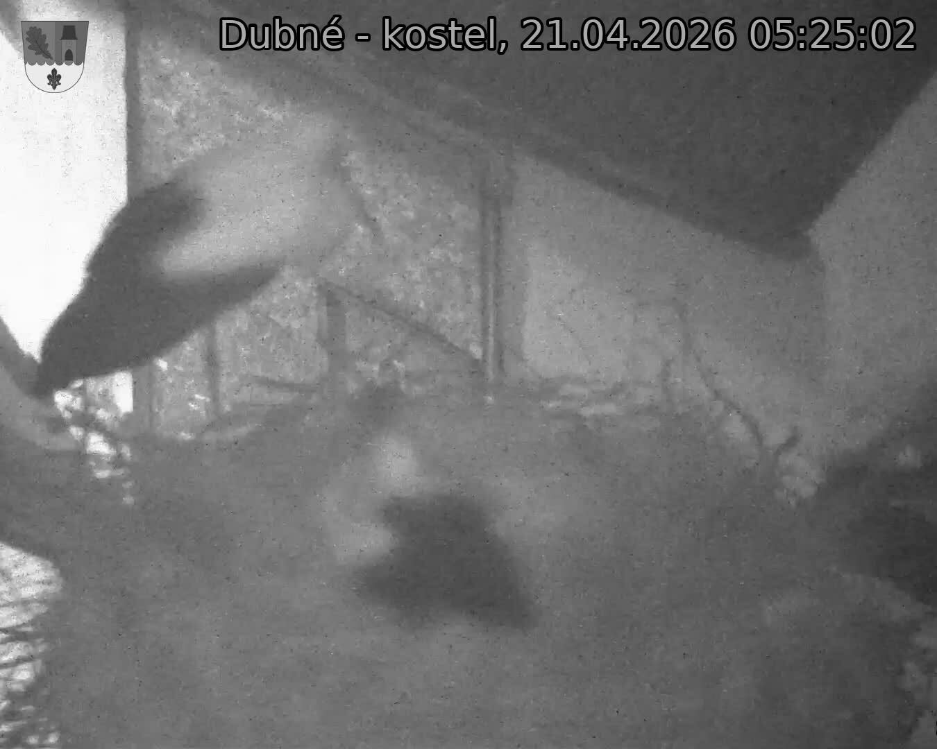 Capi_Dubne_20260421_052502.jpg (1350&nbsp;x&nbsp;1080)