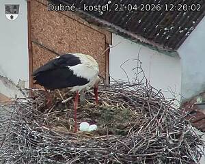 Capi_Dubne_20260421_122002.jpg (1350&nbsp;x&nbsp;1080)