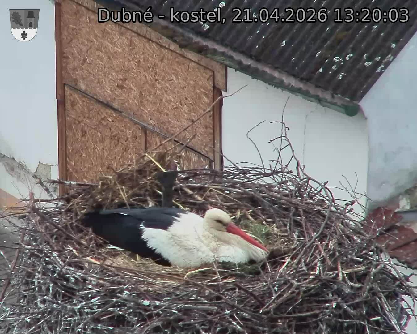 Capi_Dubne_20260421_132003.jpg (1350&nbsp;x&nbsp;1080)
