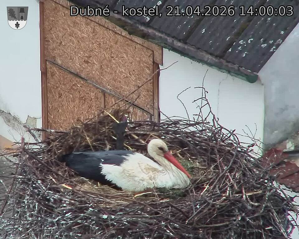 Capi_Dubne_20260421_140003.jpg (1350&nbsp;x&nbsp;1080)