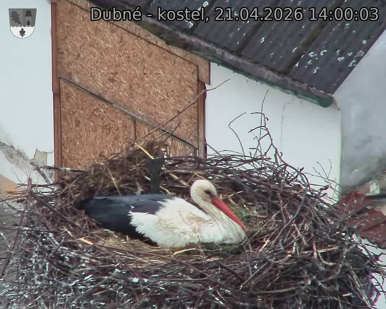 Capi_Dubne_20260421_140003.jpg (1350&nbsp;x&nbsp;1080)